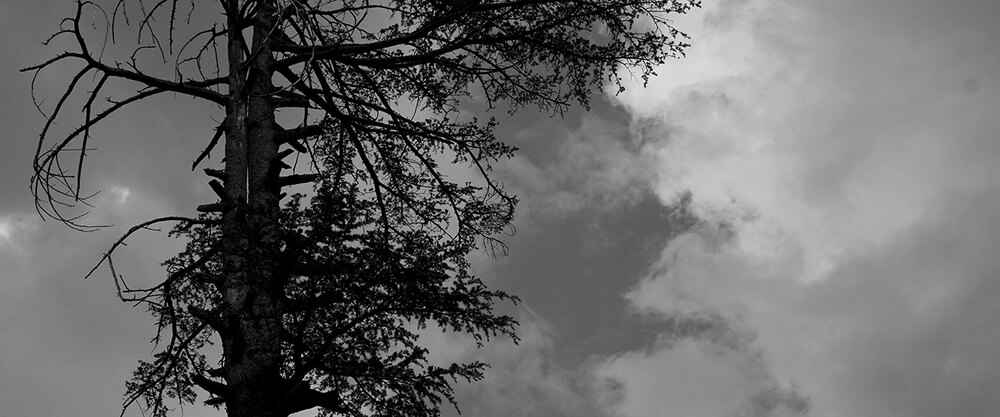 Black & White photograph 11