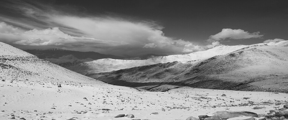 Black & White photograph 13