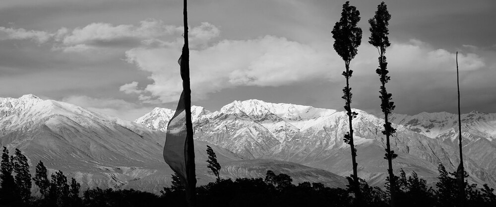 Black & White photograph 23
