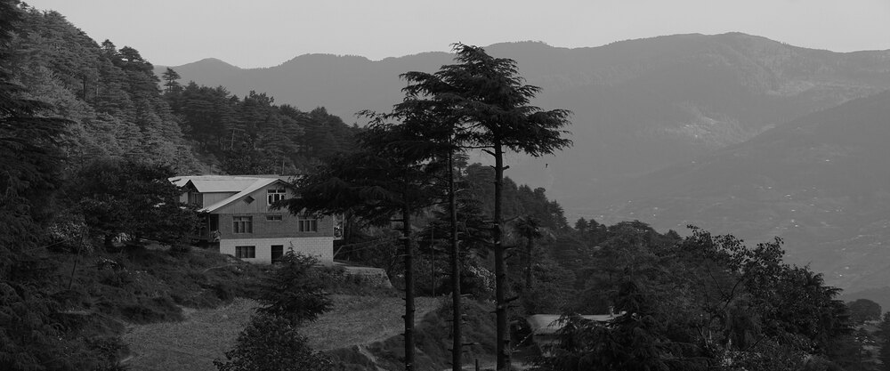 Black & White photograph 30