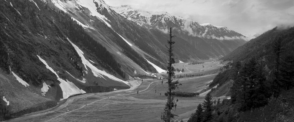Black & White photograph 31