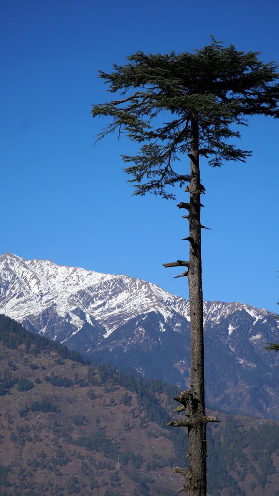 Landscapes photograph 2