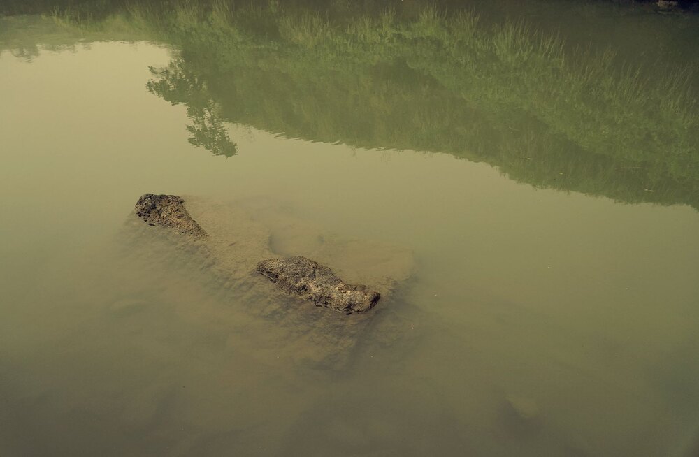 Landscapes photograph 11