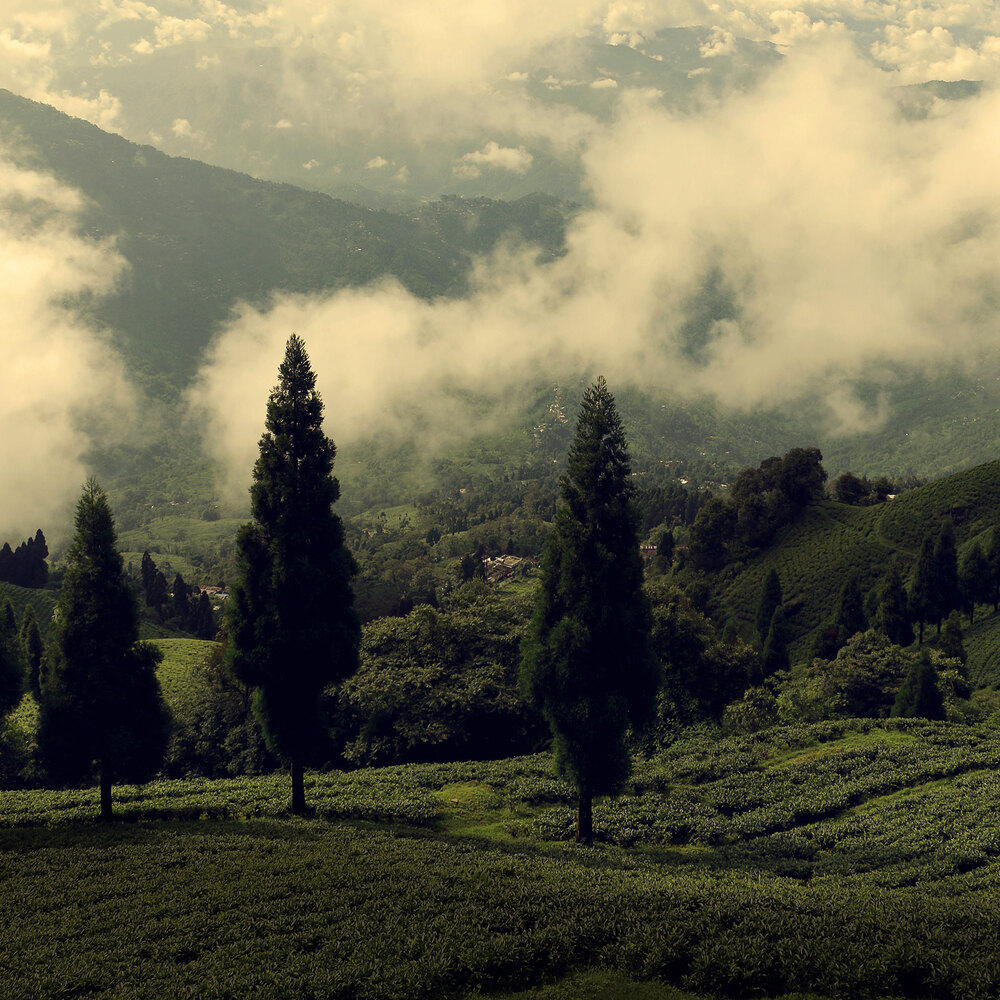 Landscapes photograph 31