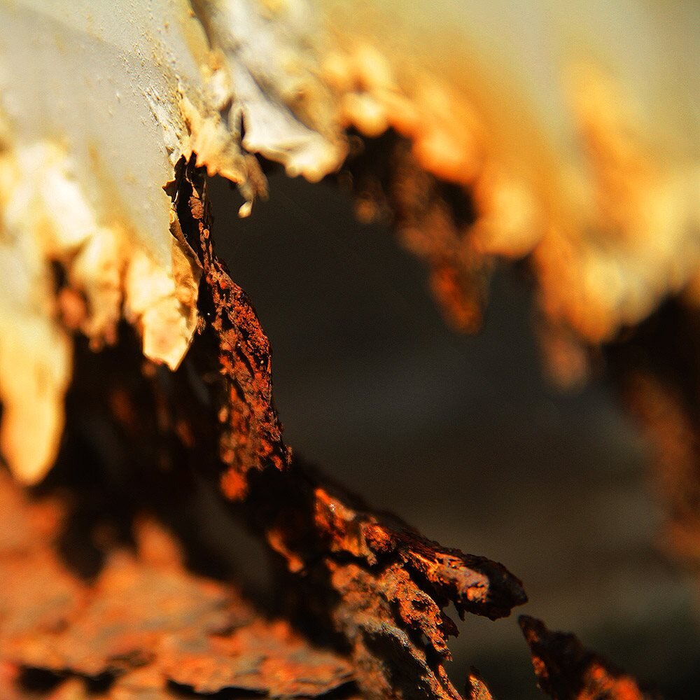 Personal Projects photograph 9