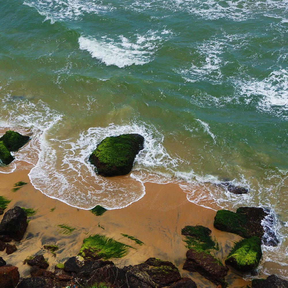 Travel & Observation photograph 5