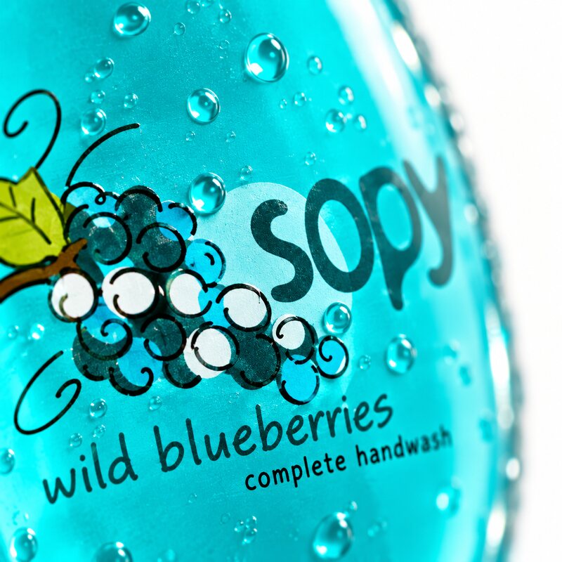 Wild blueberries, close.